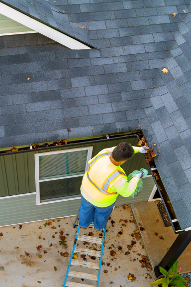 Gutter Services